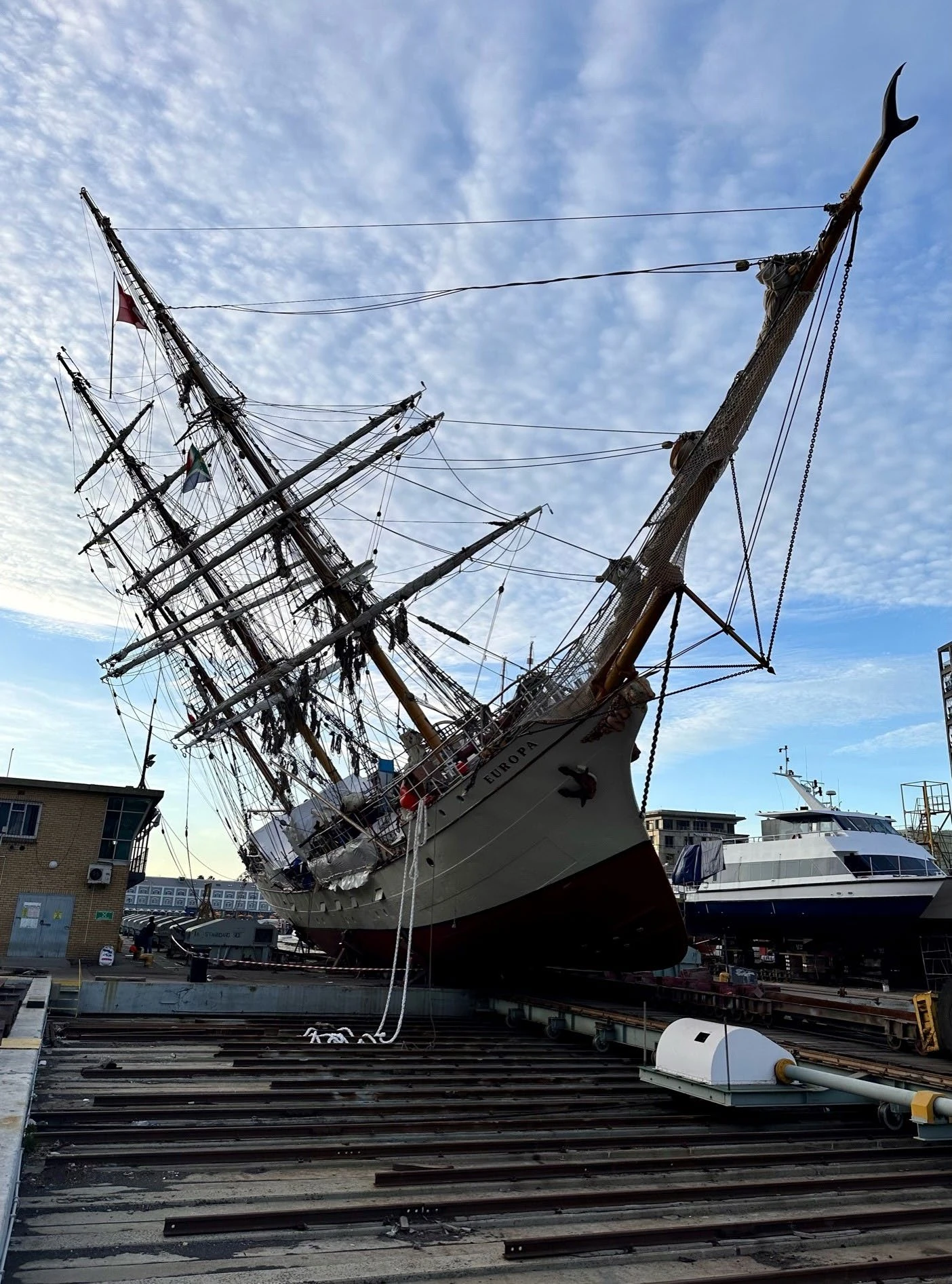 Bark Europa