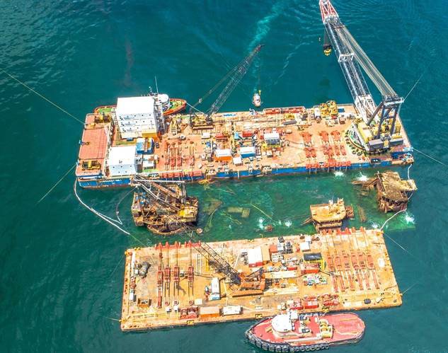 Two ships connected by a floating dock